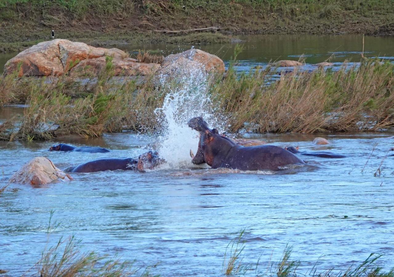 Kruger River Holiday Home Marloth Park Exteriör bild
