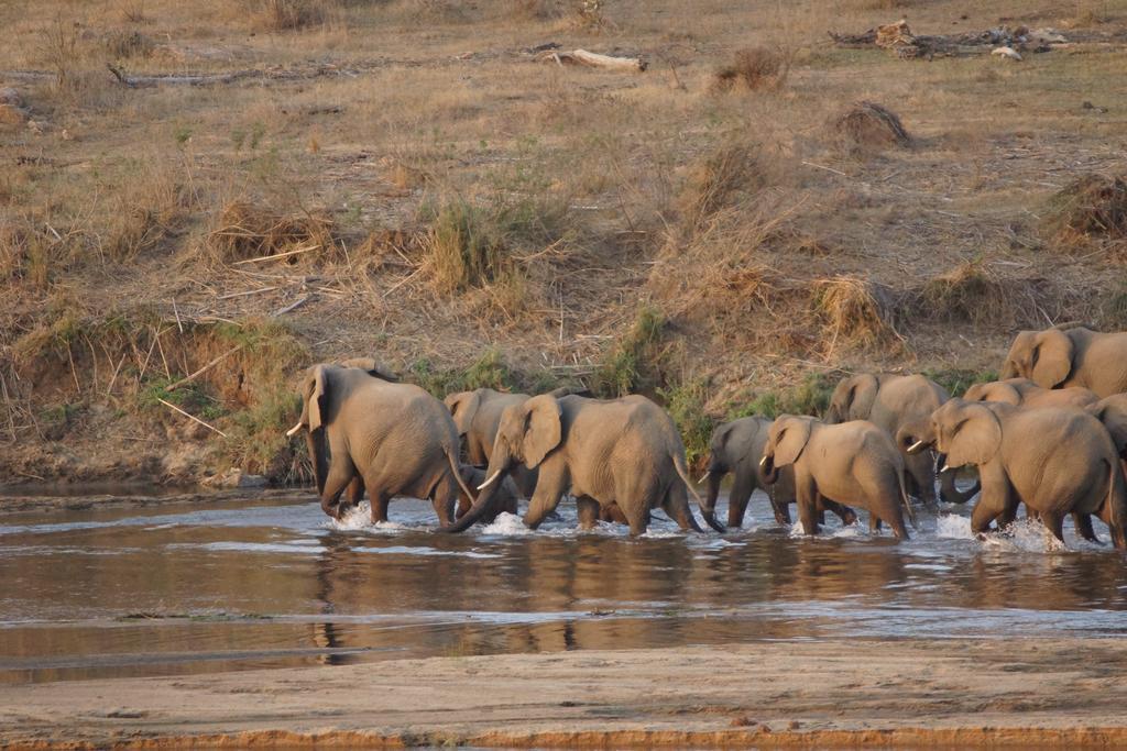 Kruger River Holiday Home Marloth Park Exteriör bild