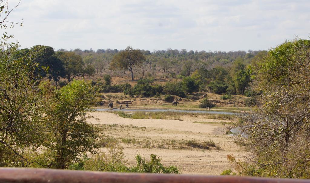 Kruger River Holiday Home Marloth Park Exteriör bild
